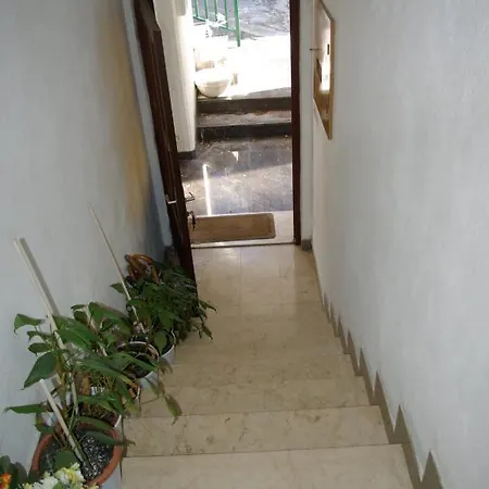 Tia Homestay *